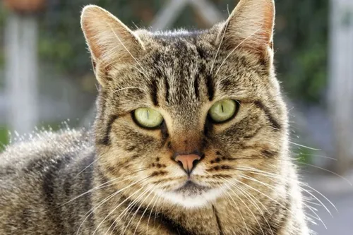 Journal 9h - Un femme interpellée dans le Nord après avoir jeté son...