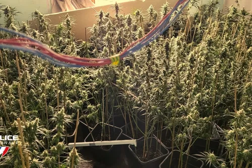 Journal 9h - 2 hommes condamnés dans le Nord, après leur...