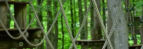 Un peu d'accrobranche à Lille