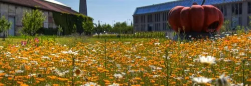 Cité Nature à Arras