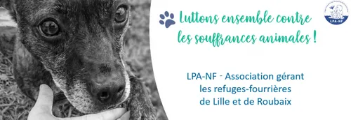 A la LPA de Lille et Roubaix, les adoptions ne sont pas encore...