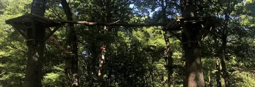 Les parcs Accro Lille et ChloroFil ont rouvert