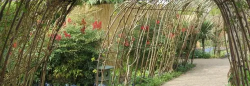 La réouverture du parc Mosaïc a fait des heureux