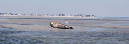 Un air de vacances en Baie de Somme