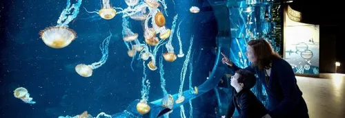 Une nouvelle exposition à découvrir à Nausicaa