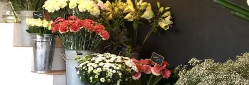 Mariages limités à 30 personnes : coup dur pour les prestataires