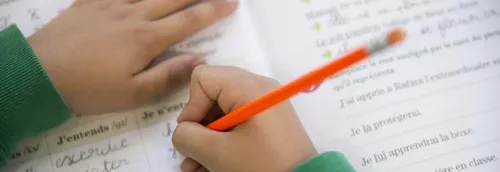 Ecole obligatoire : des familles lilloises qui pratiquent...