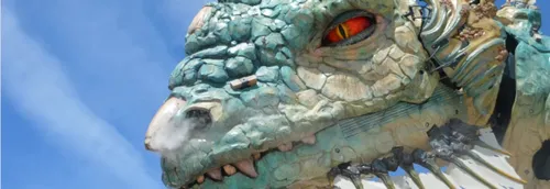  Découvrez le Dragon et l'Iguane de Calais