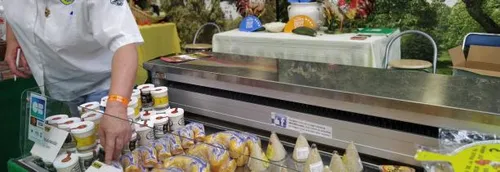 Que faire ce week-end dans la région ? Voici nos idées de sorties !