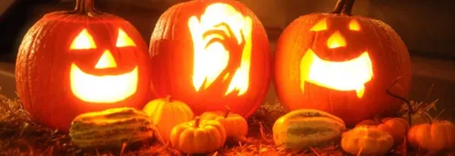 Les idées de sorties du week-end dans la région