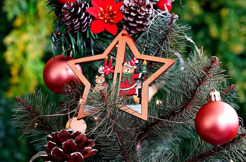 Comment bien choisir et entretenir son sapin jusqu'à Noël ?