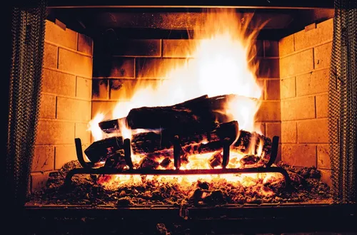 Le « chèque bois » : pour qui et comment l'obtenir ?