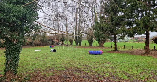 Arcanin, la salle de sport du chien a ouvert ses portes à Roncq