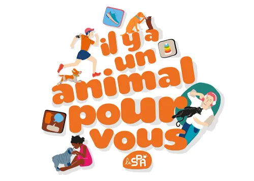 Une application mobile pour trouver son animal de compagnie idéal