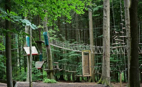 Une activité au vert cet été : l'accrobranche !