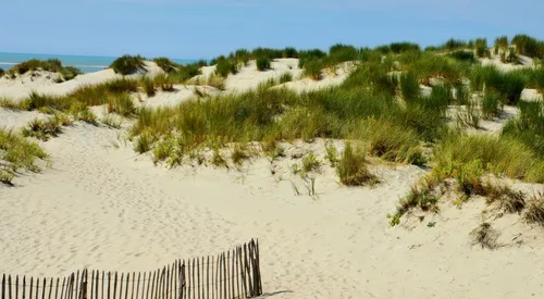 Des navettes gratuites vers la mer dans le Pas-de-Calais