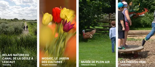 Se balader dans les parcs de la MEL cet été