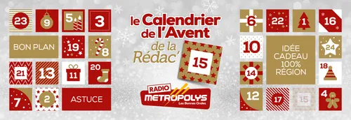 Case 15 : Des accessoires au pied du sapin pour nos animaux !