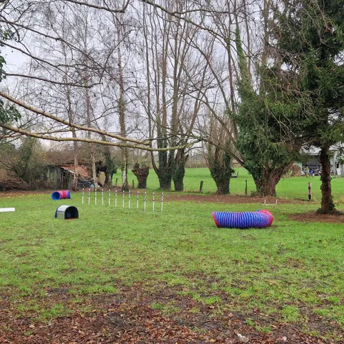 Arcanin, la salle de sport du chien a ouvert ses portes à Roncq