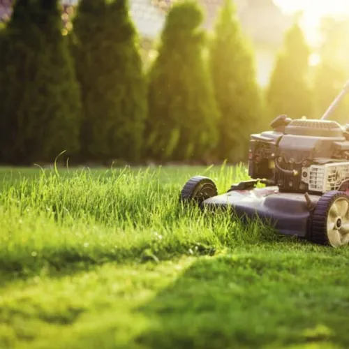 Tondre sa pelouse à n'importe quelle heure ? Quelles sont les règles ?