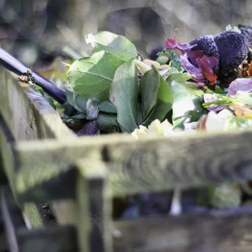 Comment trier ses biodéchets ?