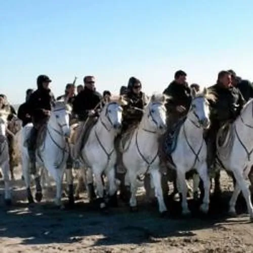 On vous rappelle que le Festival Abrivado aux Saintes Maries de la...