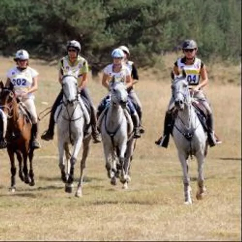 Endurance Equestre Internationale à Port Saint Louis.