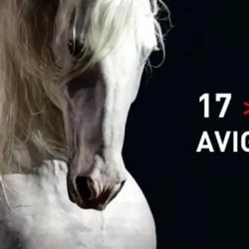 Cheval Passion, le plus prestigieux des salons équestres.