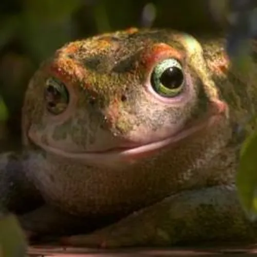 Ecole MOPA: "Garden Party" un film d'animation 3D à la Arlésienne...