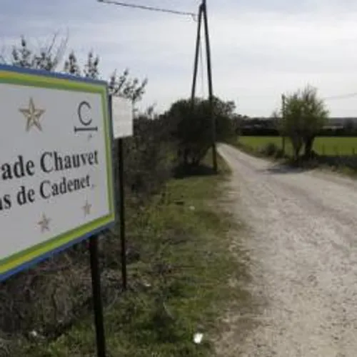 Arles : la manade Chauvet est-elle menacée de disparition ?