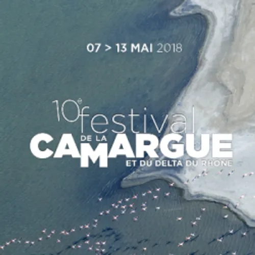 Découvrez la Camargue comme vous ne l'avez jamais vue ! Le Festival...