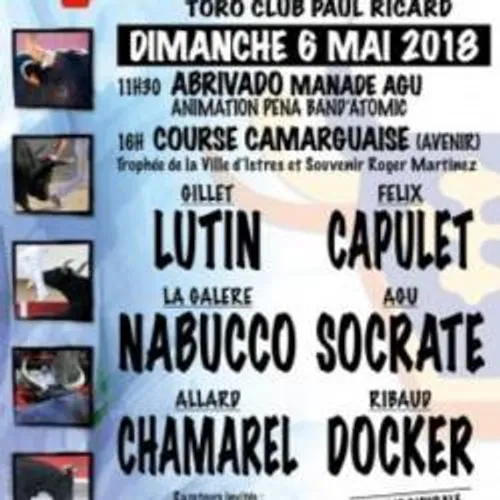 Istres: Journée camarguaise ce dimanche 6 mai