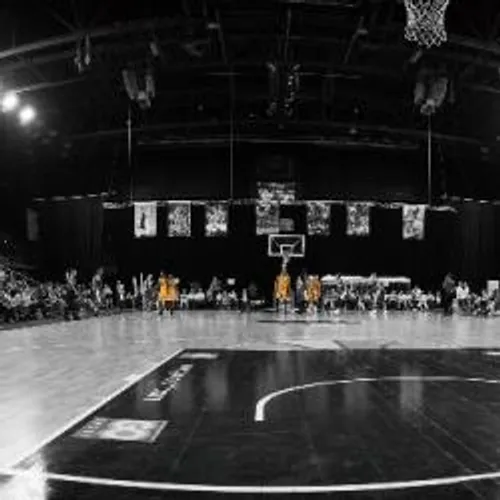 Basketball-LidlStarLigue: Objectif playoffs pour le Fos Provence...