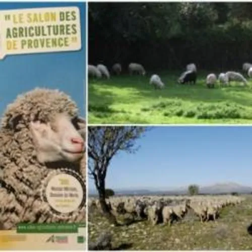 Salon de Provence: Le Salon des Agricultures de Provence ouvre ses...