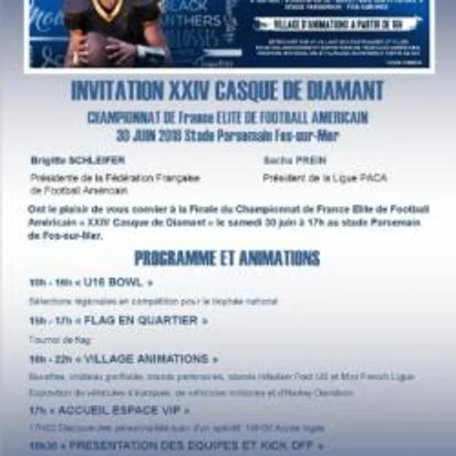 "XXIV Casque de Diamant": Finale du Championnat de France de...