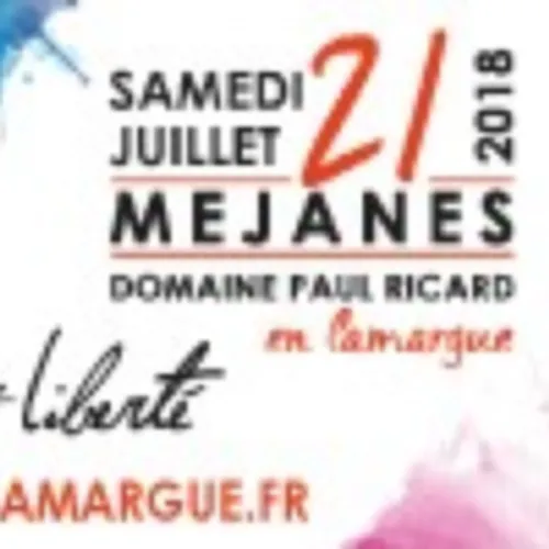 La Féria du Cheval le samedi 21 Juillet au Domaine de Méjanes.