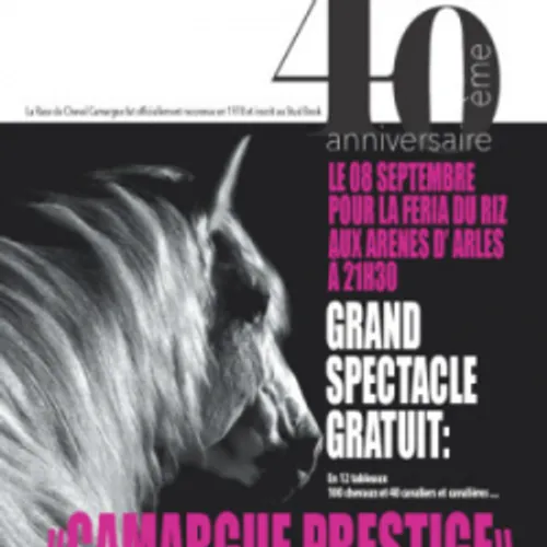 [ BON PLAN SORTIE - ARLES ] : LA FERIA DU RIZ C'EST AUSSI CAMARGUE...