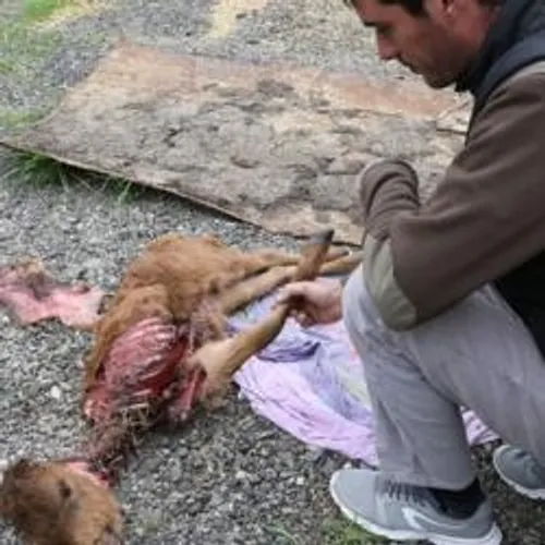 [FAITS DIVERS]: Trois nouvelles suspicions d'attaques imputées au...