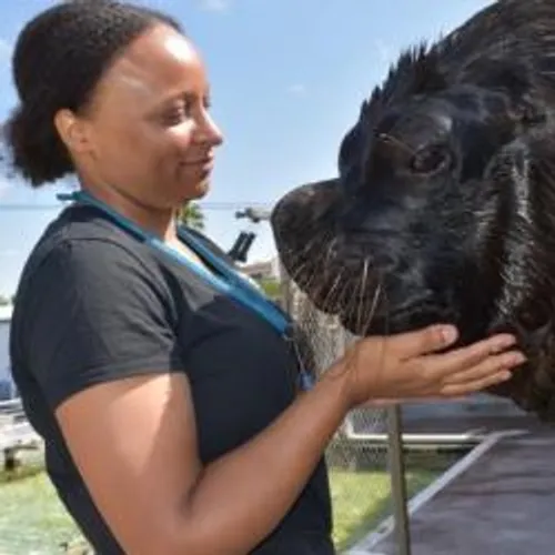 [ BON PLAN SORTIE - GRAU DU ROI ] Au Grau-du-Roi, le Seaquarium...