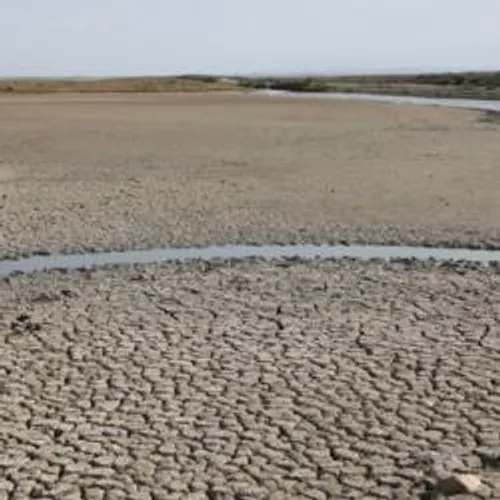 [ENVIRONNEMENT]: face à la sécheresse, les étangs de Camargue sont...