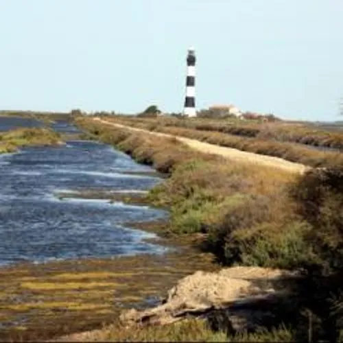 [ ENVIRONNEMENT - CAMARGUE ] En Camargue, le changement, c'est...