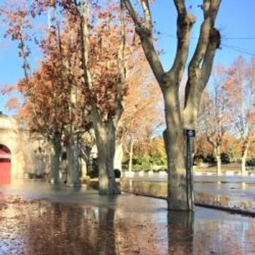 [ ENVIRONNEMENT - BEAUCAIRE ] Le Rhône est sorti de son lit à...