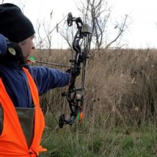 [ SOCIETE - CAMARGUE ] Le sanglier chassé à l'arc en Camargue lors...