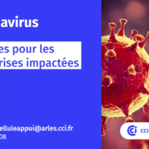[ ECONOMIE - PAYS D'ARLES ] CORONAVIRUS : LA CCI ACTIVE SA CELLULE...