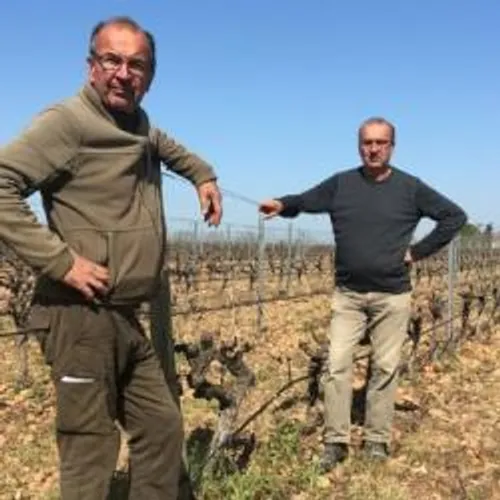 [ ECONOMIE - GARD ] Coronavirus : "C’est un nouveau choc pour le...