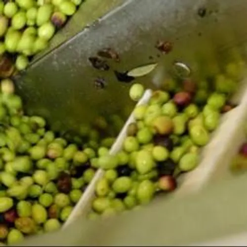 [Coronavirus] : les entreprises du Pays d'Arles lourdement impactées.