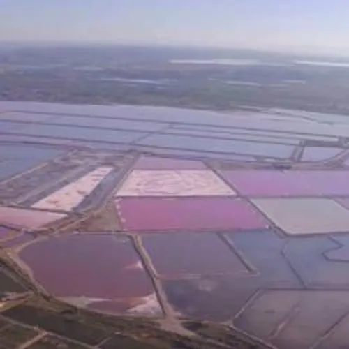 [ CULTURE - CAMARGUE ] Ce dimanche 29 mars à 11h30, le sel de...