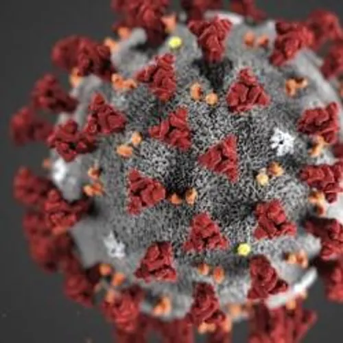 [ SANTE - PACA ] Evolution du nombre de cas de coronavirus en...