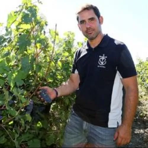 [ ECONOMIE - PAYS D'ARLES ] Le gel frappe les arboriculteurs et les...