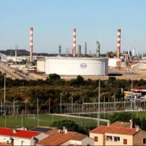 [ ENVIRONNEMENT - ETANG DE BERRE ] Malgré le confinement, de...